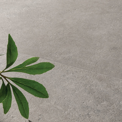 Gardenia Orchidea - Make